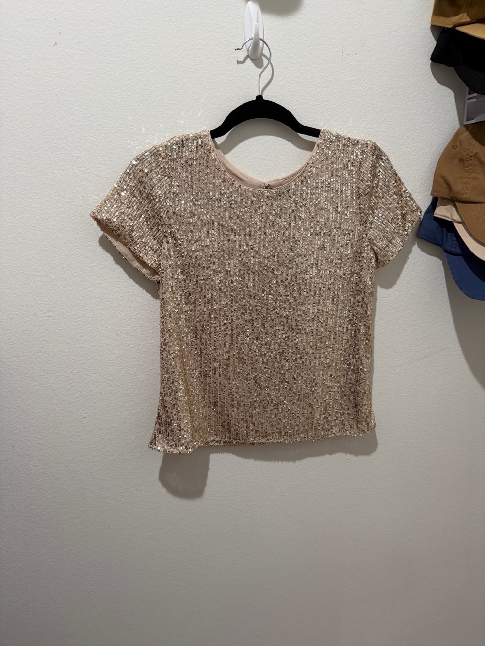 Banana Republic Champagne Sequin Short Sleeve Top